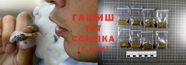 шишки Елизово