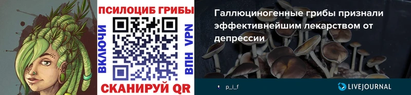 Псилоцибиновые грибы MAGIC MUSHROOMS Томск