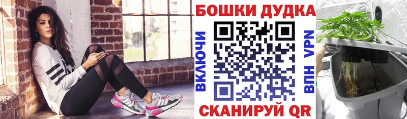 Каннабис планчик  дарк нет как зайти  Томск  как найти закладки  mega онион 